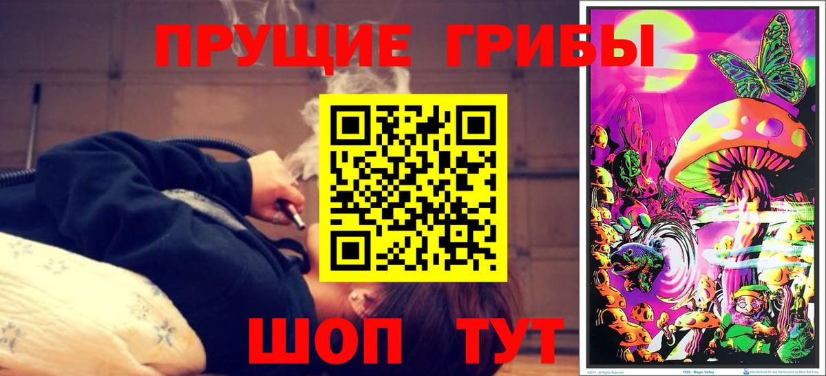 Галлюциногенные грибы Psilocybine cubensis  Вход с VPN  Туймазы 