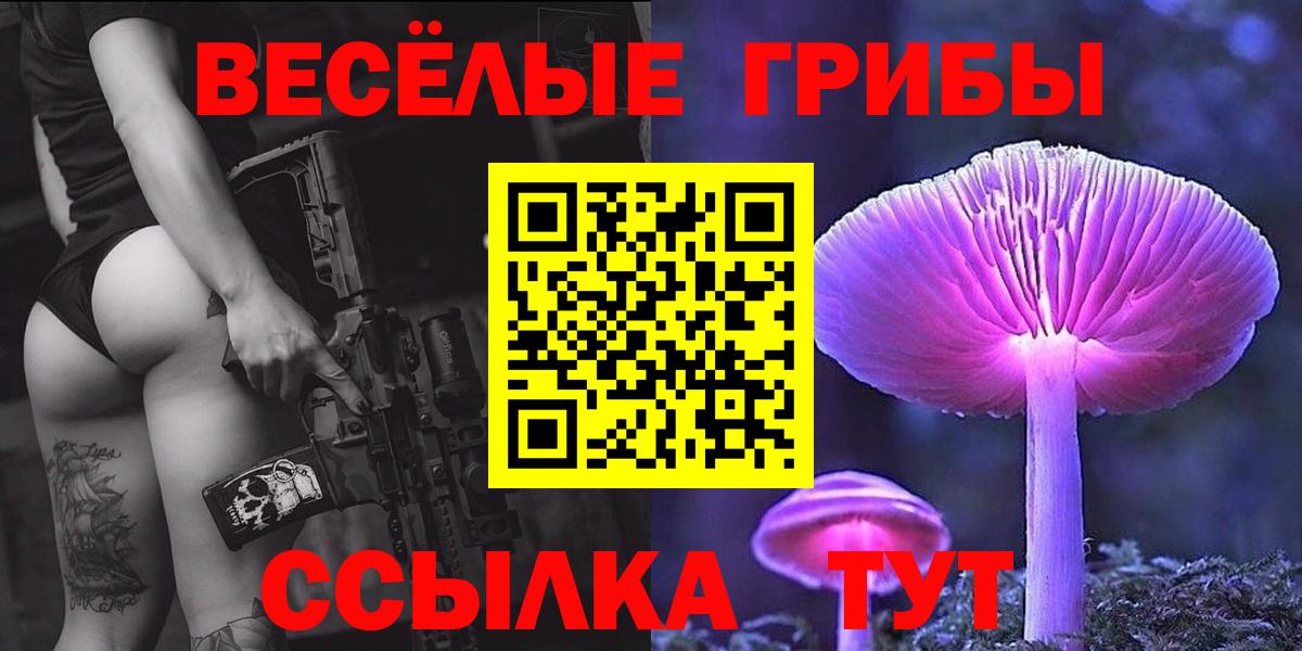 Псилоцибиновые грибы мицелий Туймазы